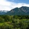 Natur