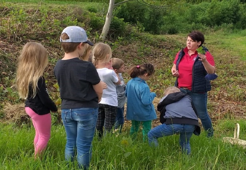 Kräuterprojekt in St. Andrä im Lavanttal